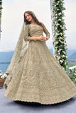 Gold Embellished Lehenga Set